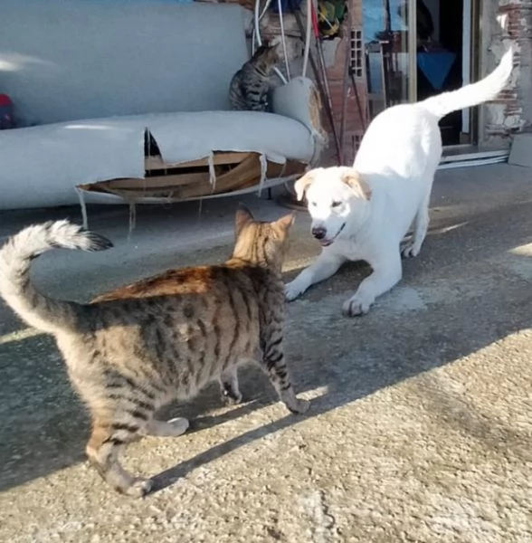 UNA MAMMA PER WILLY | Foto 0