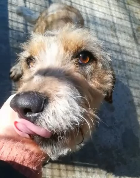 UNA MAMMA PER IVY | Foto 2