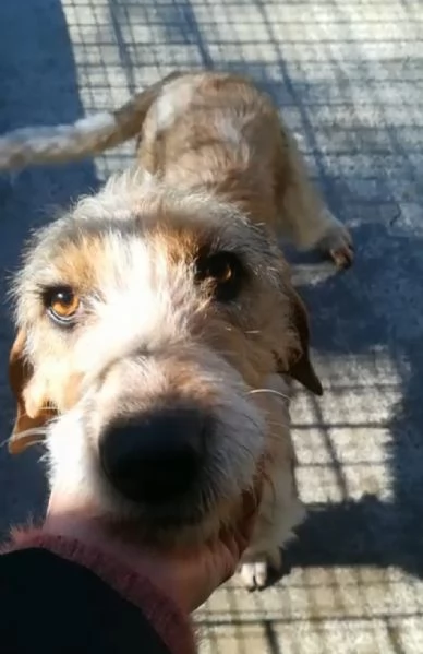 UNA MAMMA PER IVY | Foto 1