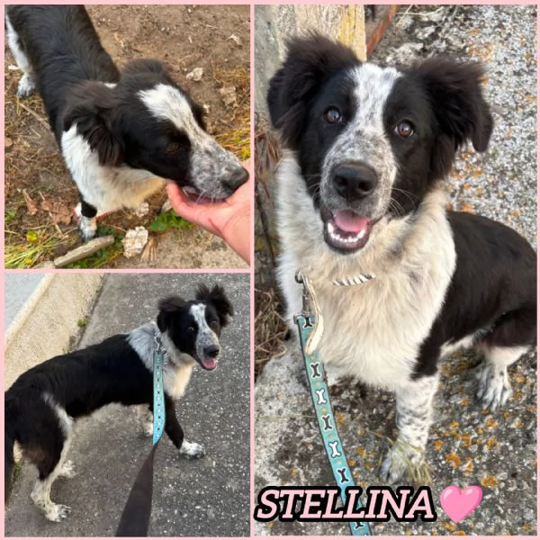 UNA MAMMA PER STELLINA 