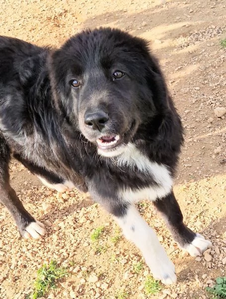 CHIAMA PER QUEGLI OCCHIONI TRISTI | Foto 5