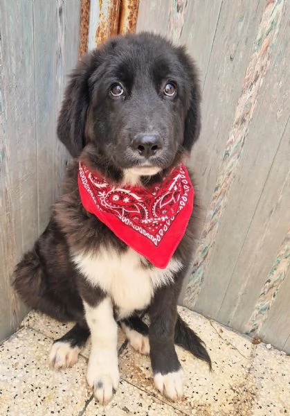 CHIAMA PER QUEGLI OCCHIONI TRISTI | Foto 6