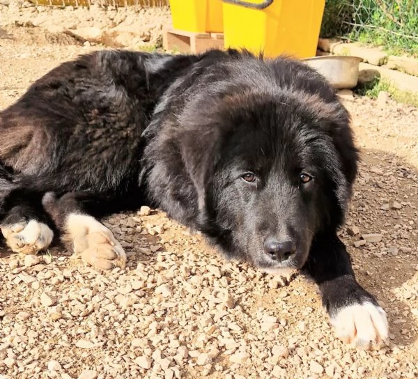 CHIAMA PER QUEGLI OCCHIONI TRISTI