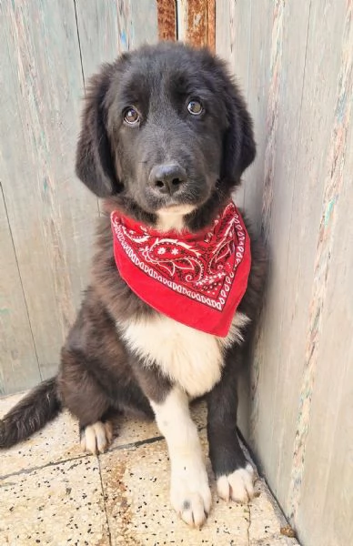 CHIAMA PER QUEGLI OCCHIONI TRISTI