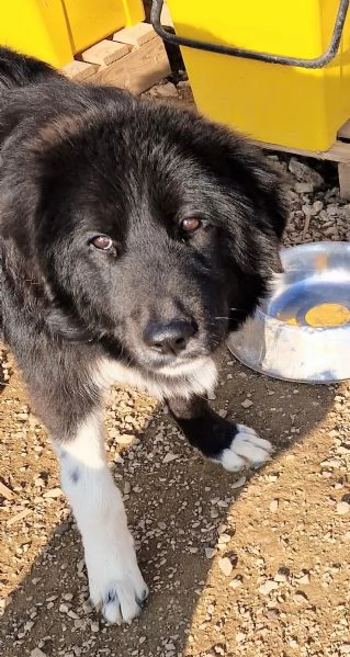 CHIAMA PER QUEGLI OCCHIONI TRISTI | Foto 2