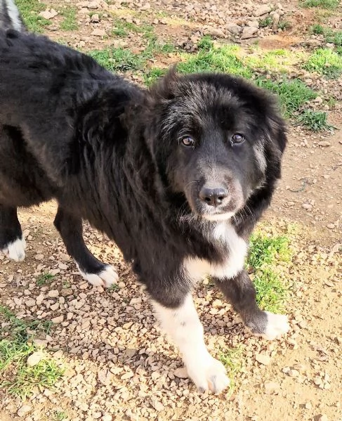 CHIAMA PER QUEGLI OCCHIONI TRISTI | Foto 1