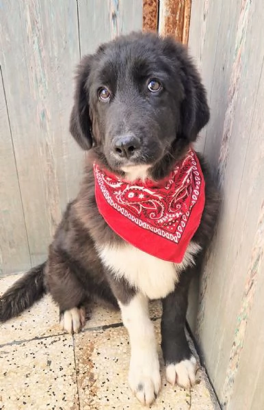 CHIAMA PER QUEGLI OCCHIONI TRISTI | Foto 0