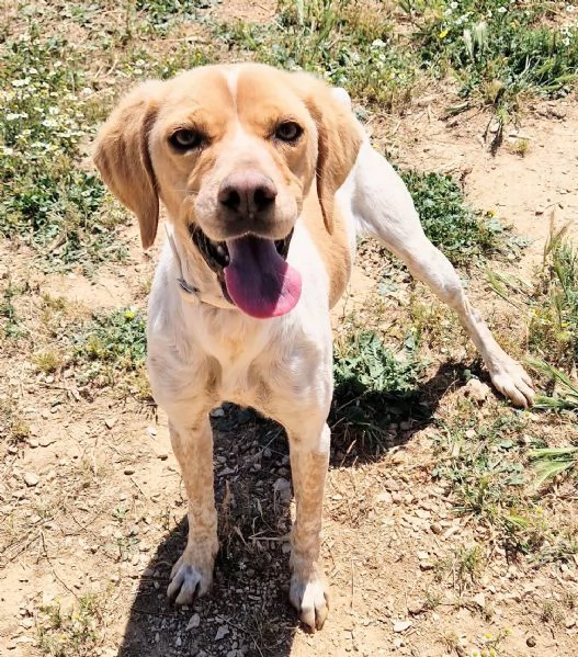 BRENDADOLCEZZA ALLO STATO PURO | Foto 4