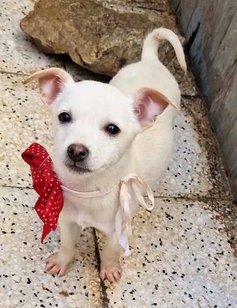 MILLYIN CANILE | Foto 6