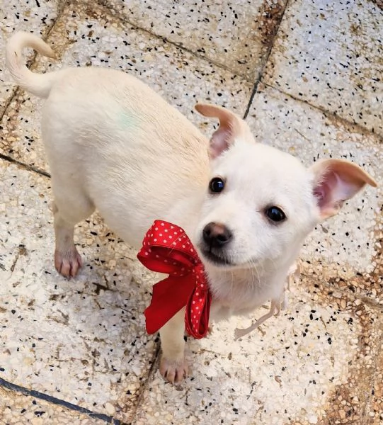 MILLYIN CANILE | Foto 5