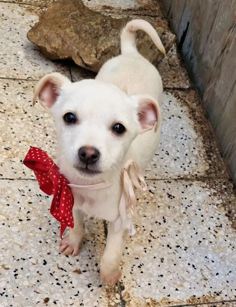 MILLYIN CANILE | Foto 4