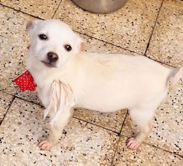 MILLYIN CANILE | Foto 3