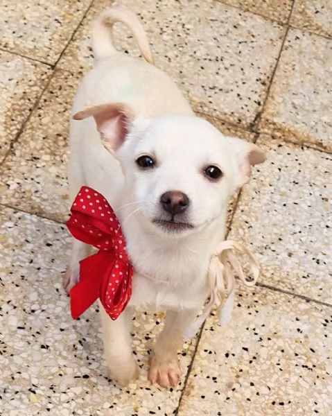 MILLYIN CANILE | Foto 2