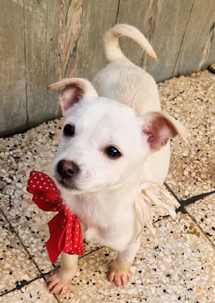 MILLYIN CANILE | Foto 1