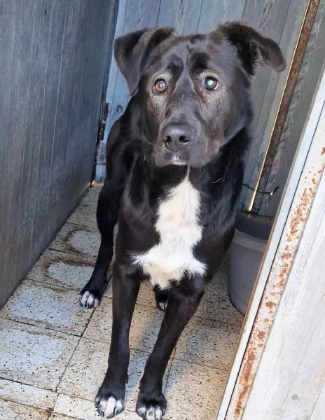 SALVA BRUNO DAL CANILE | Foto 5