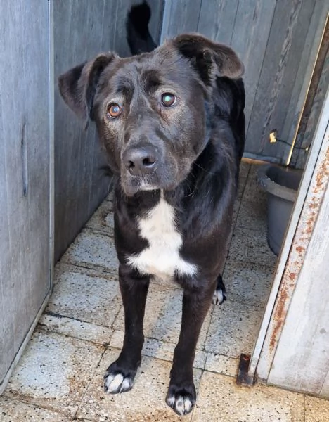 SALVA BRUNO DAL CANILE | Foto 4