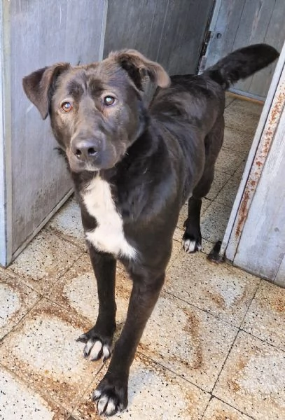 SALVA BRUNO DAL CANILE | Foto 3