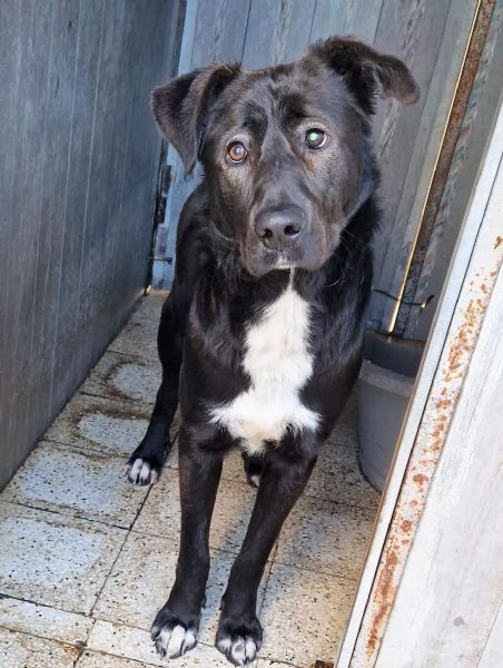 SALVA BRUNO DAL CANILE | Foto 1