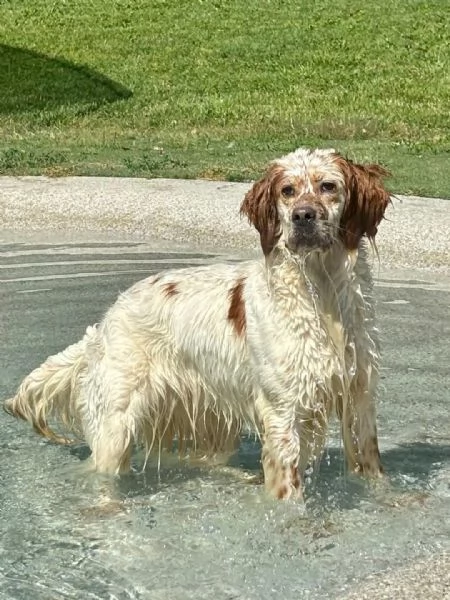Diletta  | Foto 1