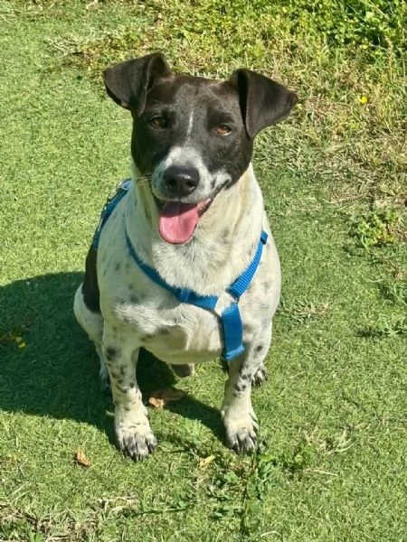 Arturo  | Foto 1