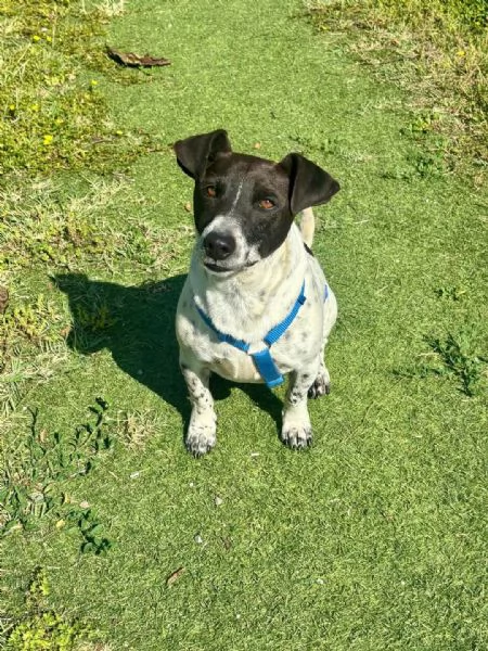 Arturo 