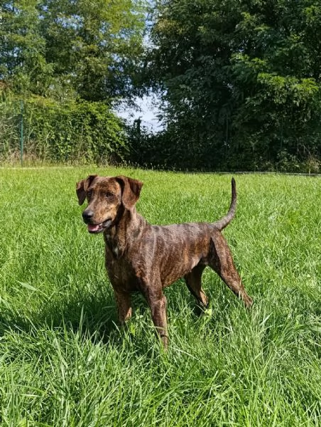 Kira  | Foto 0