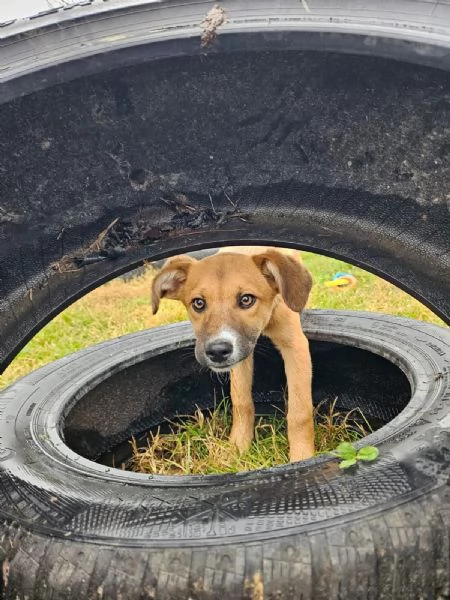 Agata e Nestor  | Foto 3