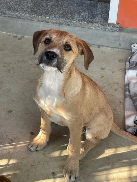 Agata e Nestor  | Foto 1