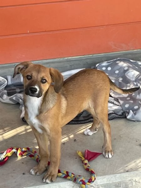 Agata e Nestor  | Foto 0