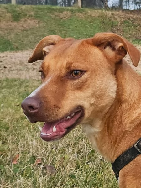 Elsa cerca casa | Foto 0