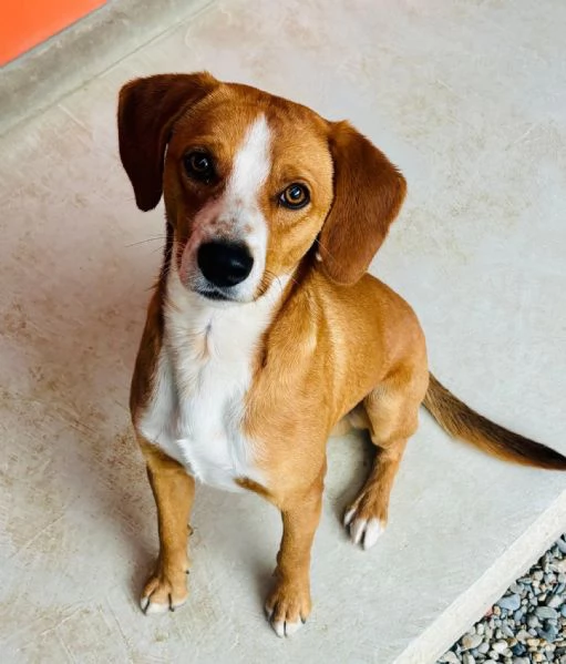 Due cerca casa | Foto 2