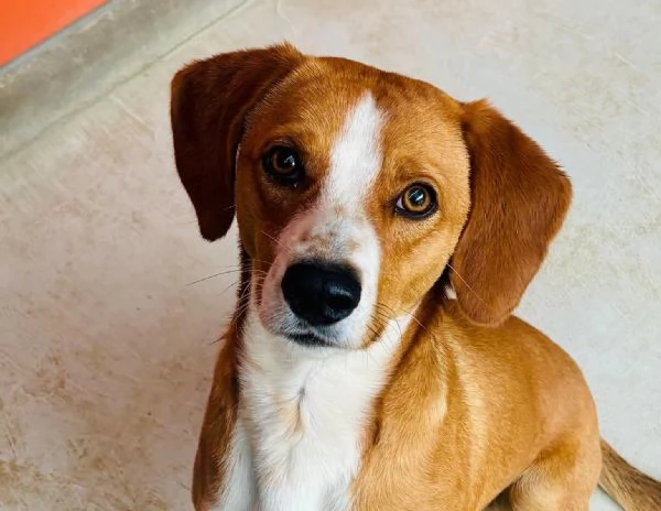 Due cerca casa | Foto 1