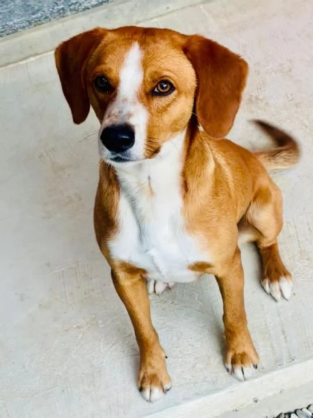 Due cerca casa | Foto 0