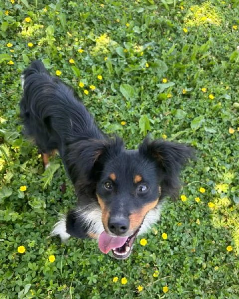 Jimbe | Foto 1