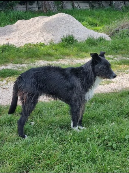 paky cerca casa | Foto 0