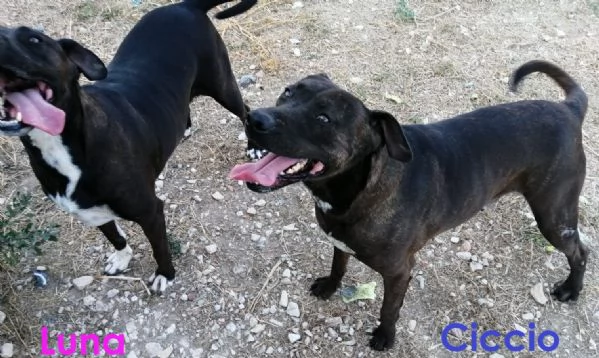 LUNA amabile femminuccia | Foto 0