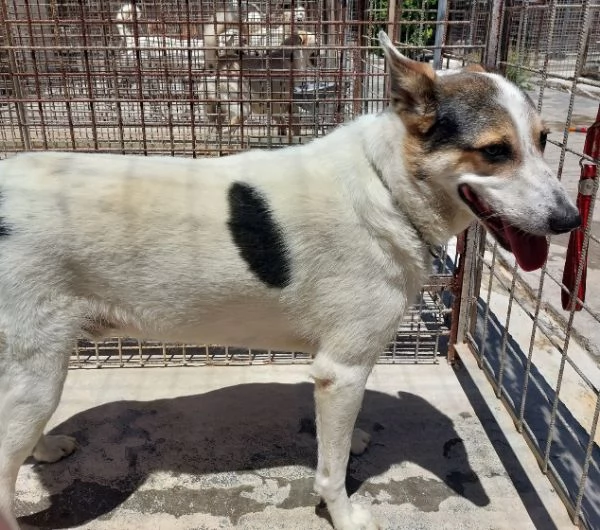 BALU cerca casa | Foto 0