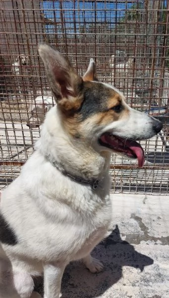 BALU cerca casa