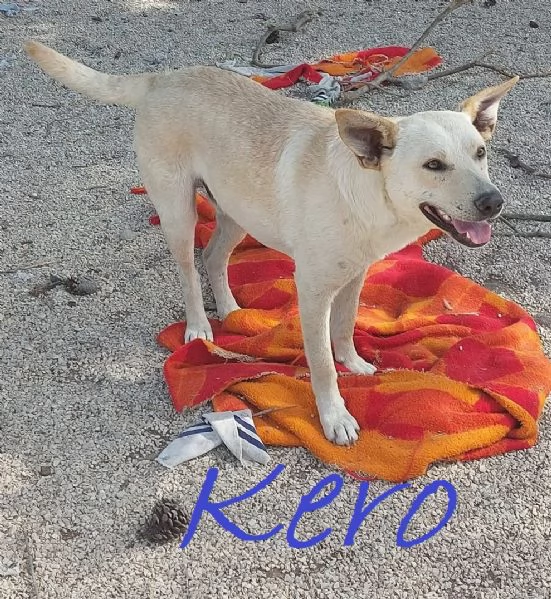 KERO giovanotto settembre 23 | Foto 0
