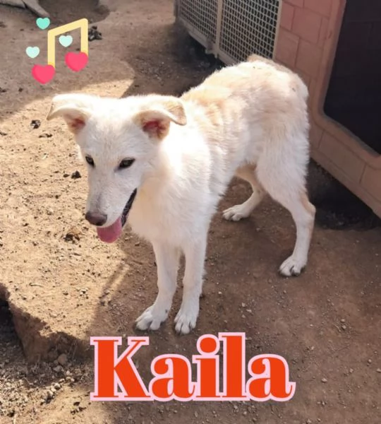 KAILA nata ad Aprile 25