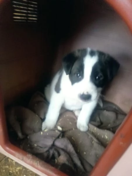 Diana e Olga taglia grande  | Foto 4