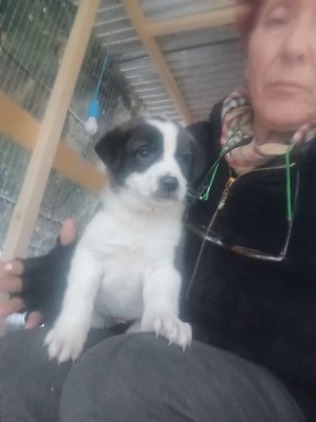 Diana e Olga taglia grande  | Foto 3