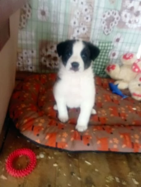 Diana e Olga taglia grande  | Foto 2