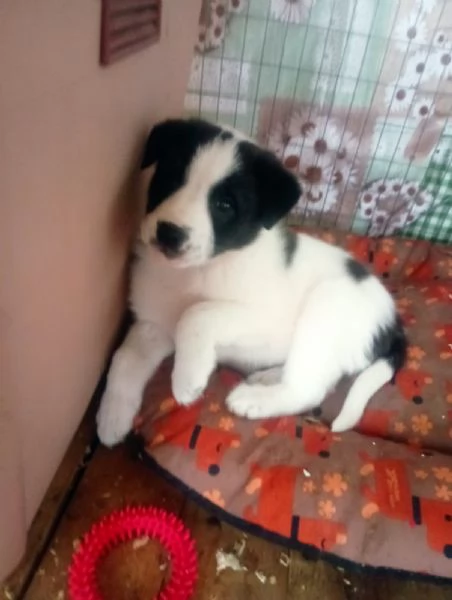 Diana e Olga taglia grande  | Foto 1