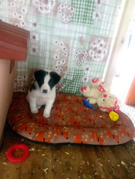 Diana e Olga taglia grande  | Foto 0