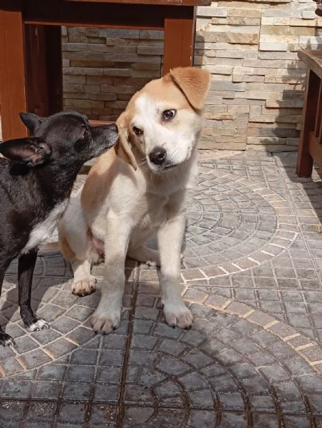 Anna taglia media25kg4 mesi  | Foto 1