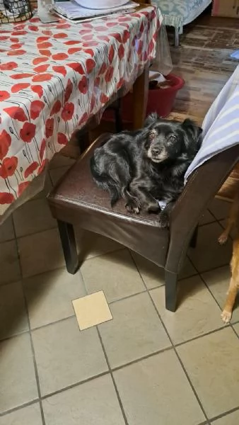 Marika taglia piccola 11 anni 