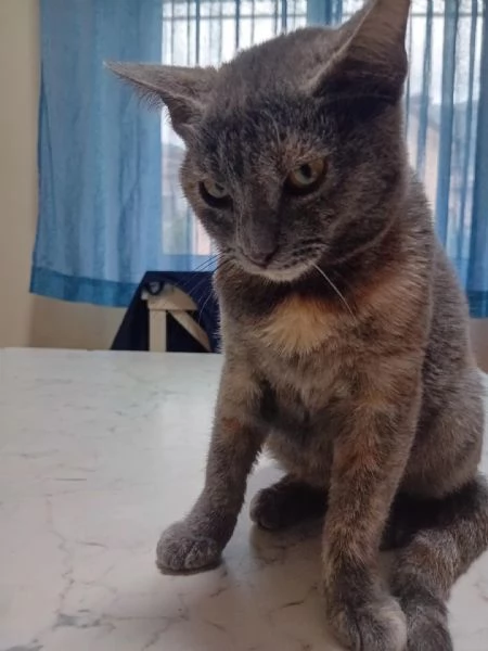 TEMPESTA E BIANCO | Foto 5