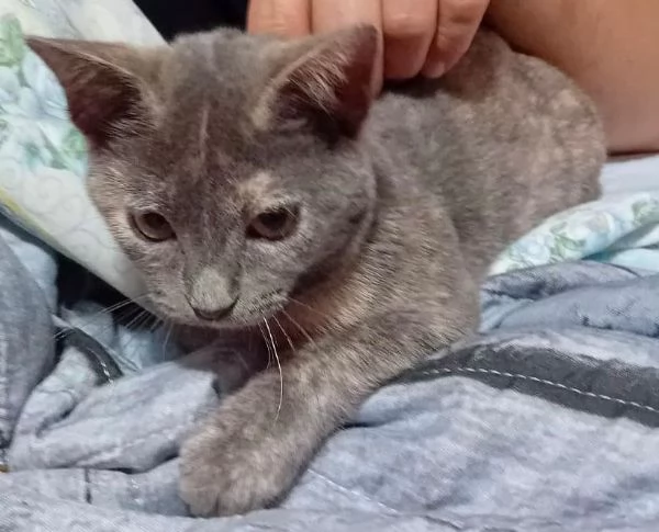 TEMPESTA E BIANCO | Foto 4