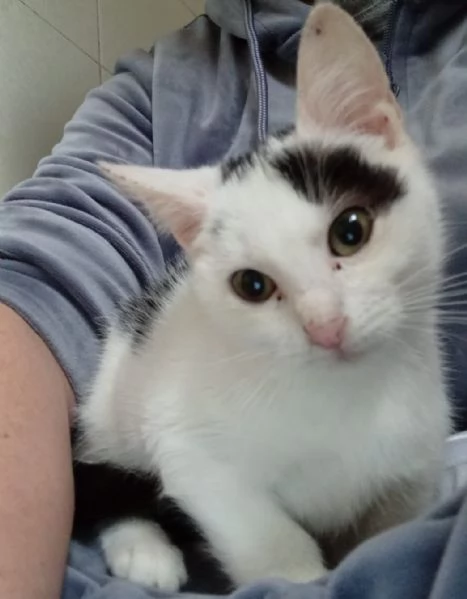 TEMPESTA E BIANCO | Foto 3